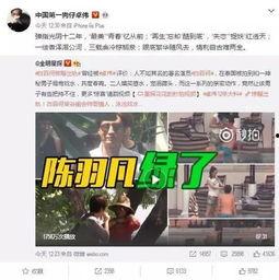 灵荣夫妻爆料视频大全集,揭秘娱乐圈背后的真相与秘密  第2张