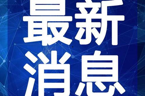 皇族最新爆料新闻视频大全,最新爆料新闻视频大盘点  第2张